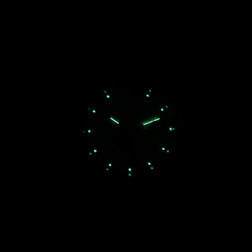 【95新】TUDOR帝舵M76213-0008自动机械日期显示、星期显示36MM（男款）王子与公主系列精钢/18k黄金表圈120326TJ15 商品图8