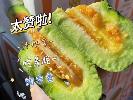 博洋瓜系列的天花板，劲脆香甜的蜜七七脆甜蜜瓜 商品图1