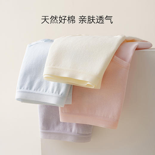 【三条装/四条装】爱帝女式素色棉氨亲肤内裤 商品图3