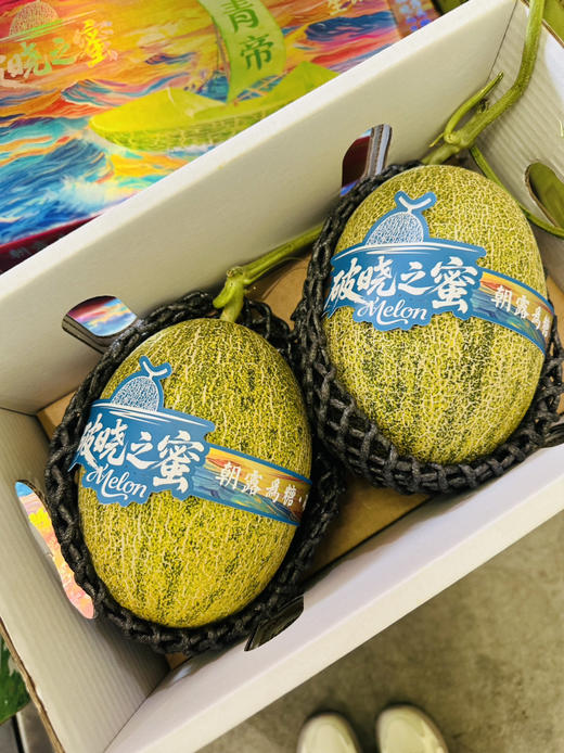 青帝脆甜蜜瓜 一箱2个 商品图2