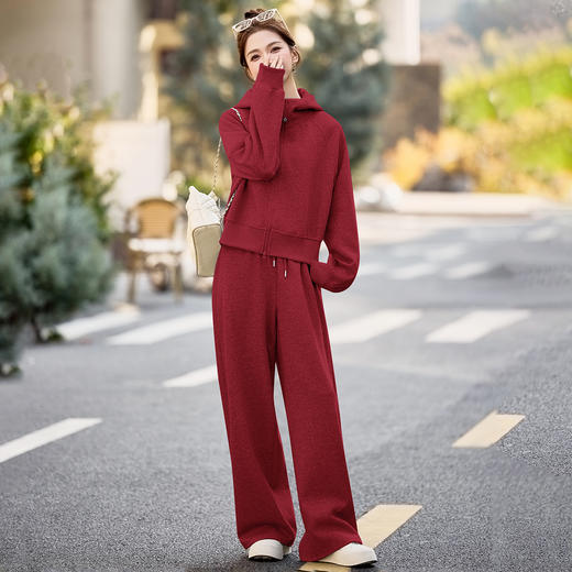 套装女春新款时尚连帽卫衣宽松显瘦小个子休闲裤两件套WWYG6610 商品图3