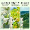 【绵密丝滑❗️袋装】奶茶粉茉莉雪芽袋装小包装口味奶茶独立冲饮速溶饮品饮料桂馥兰香。ya 商品缩略图3