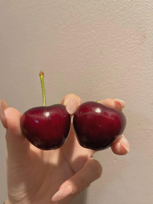 空运7JJJJJJJ大樱桃 商品图3