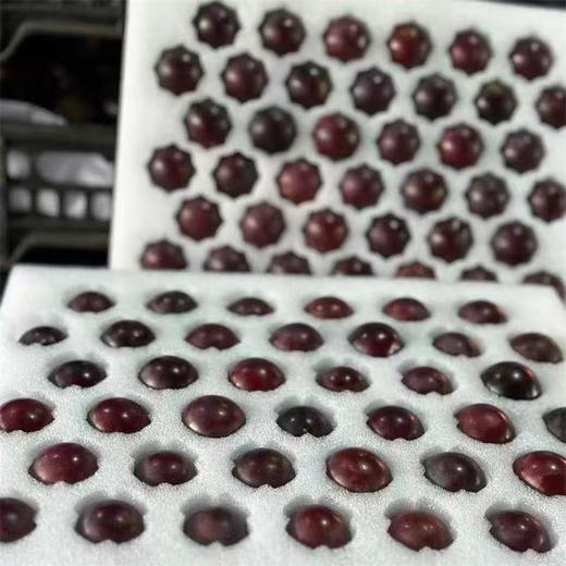 [最农公社]京东到家|辽宁巨峰葡萄【非串装】新鲜葡萄整件包邮当季水果葡萄 商品图1