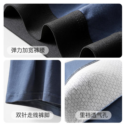 爱帝男式内裤棉氨弹力平角裤3条装 商品图4