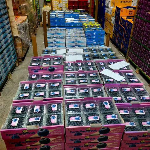 【纯甜】云南特级高山18+蓝莓桶装五合一顺丰包邮 商品图5
