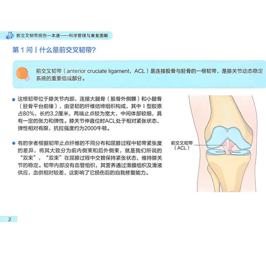 前交叉韧带损伤一本通 科学管理与康复图解 梅宇 耿春静 主编 前交叉韧带损伤者必须了解的事等 9787565936111 北京大学医学出版社 商品图4