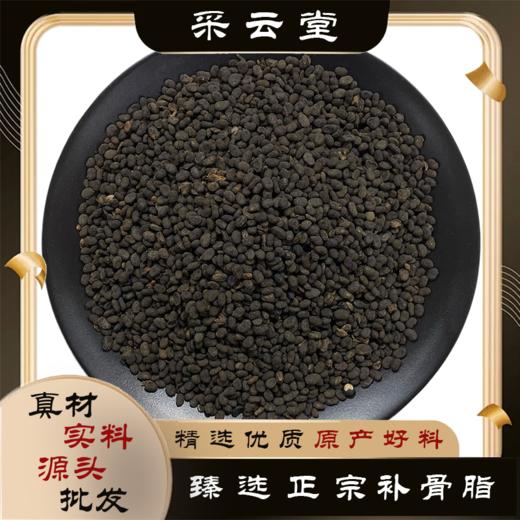 补骨脂  常用规格 破故纸 商品图0