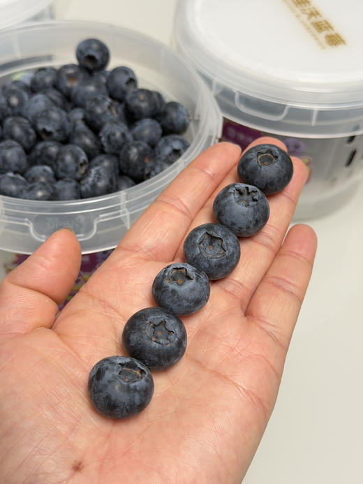 山地花香18+蓝莓桶 商品图3