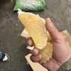 越南翡翠 金柚 水分足 果肉细嫩 甜度好 回头率高 19.9/个约2斤上下 商品缩略图0