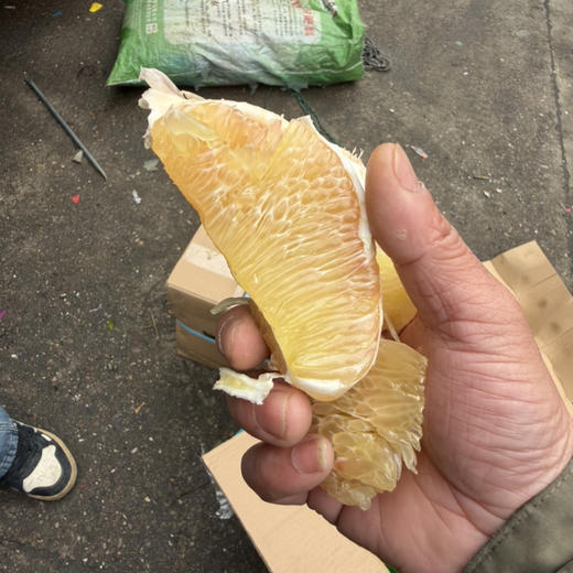 越南翡翠 金柚 水分足 果肉细嫩 甜度好 回头率高 19.9/个约2斤上下 商品图0