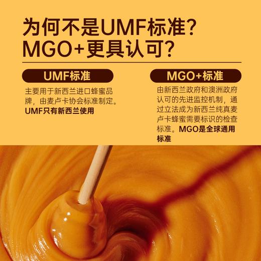 澳大利亚巴恩天然 活性麦努卡蜂蜜 MGO550+ 250g/礼盒装 商品图6