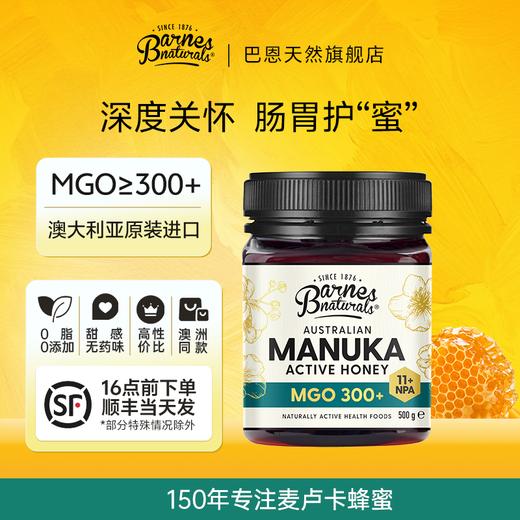 澳大利亚巴恩天然 活性麦努卡蜂蜜 MGO300+ 250g/礼盒装 商品图0