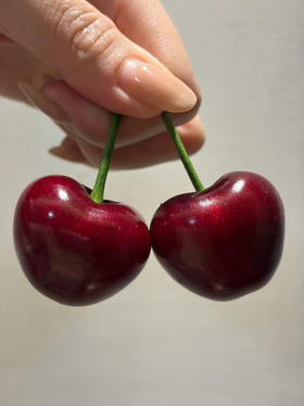 空运7JJJJJJJ大樱桃