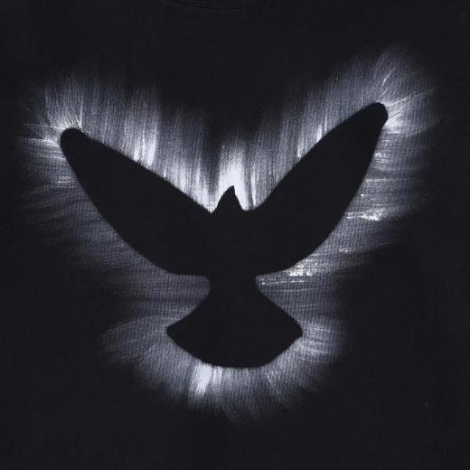 SG8704SDSA男装2026新款高贵轻奢美式复古鸟喷绘短袖T恤百搭时尚上衣 商品图4