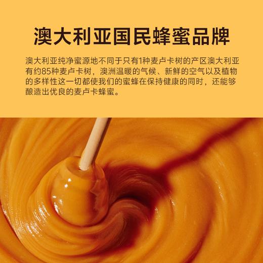 澳大利亚巴恩天然 活性麦努卡蜂蜜 MGO100+ 250g/500g/礼盒装 商品图8