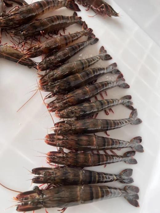 &深海大黑虎虾🦐超级靓，肉质紧实Q弹油焖白灼红烧皆可！新鲜活冻 商品图4