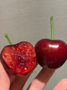 空运7JJJJJJJ大樱桃 商品缩略图2