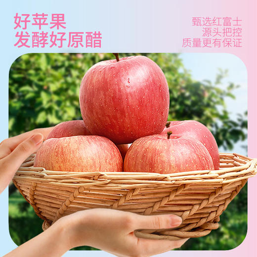 神探伍伍益生元苹果醋饮 商品图4