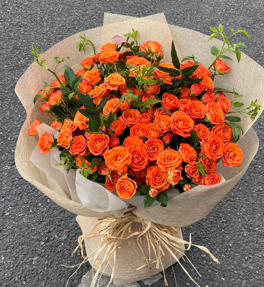 周末鲜花日~🌹【玫瑰花】云南鲜花基地直发，15种玫瑰可选~72小时内发货，一份10支，花枝长40-50CM 商品图12