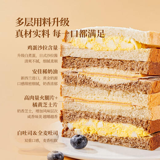 MM 山姆 Member's Mark 经典三明治组合1X1PC 商品图4