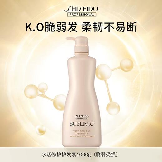 【专柜版】资生堂芯诗珀莉水活修护系列护发素（脆弱受损发质）1kg 商品图0