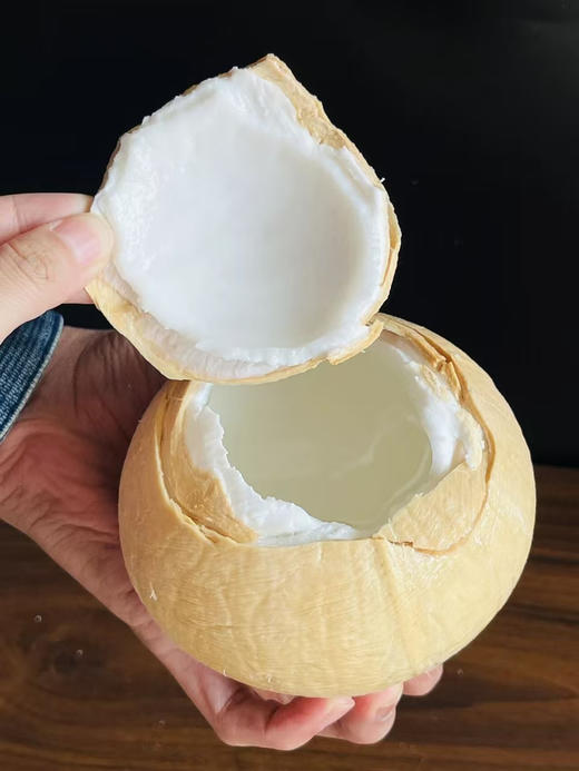 泰国老树椰皇 商品图4