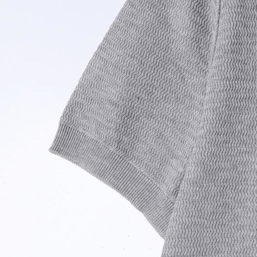 262537SDSA男装2026新款高贵轻奢老钱风撞色翻领短袖tT恤百搭时尚上衣 商品图3