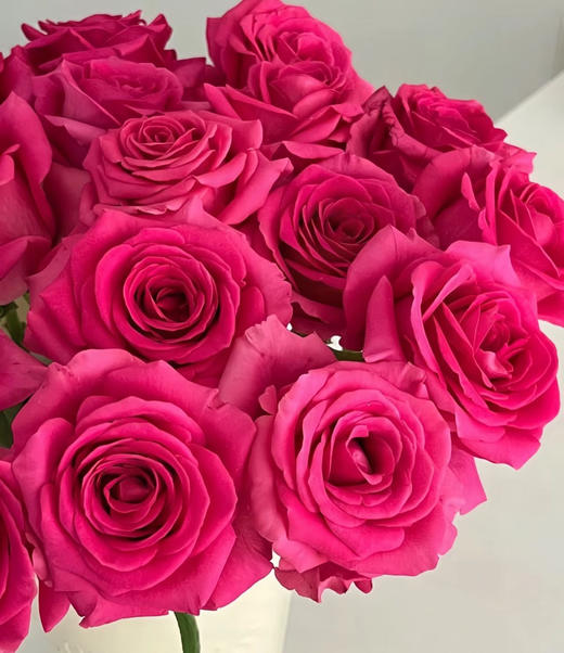 周末鲜花日~🌹【玫瑰花】云南鲜花基地直发，15种玫瑰可选~72小时内发货，一份10支，花枝长40-50CM 商品图5