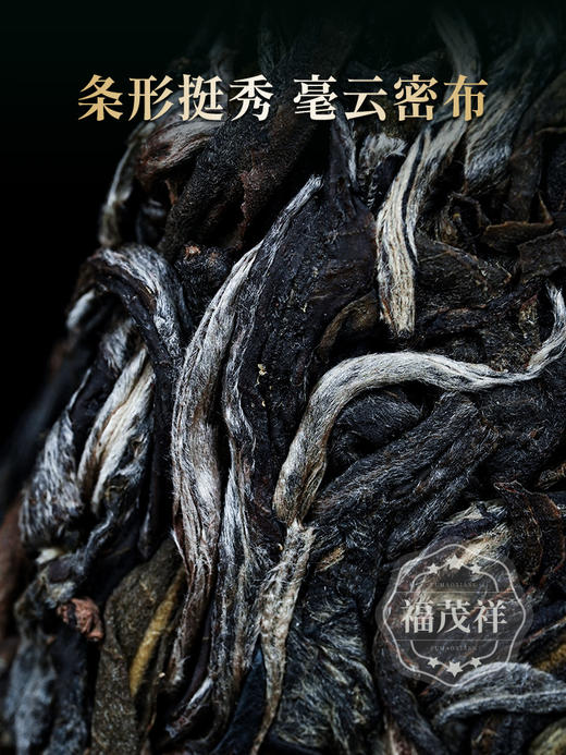 2026头春【冰岛老寨单株】纯料古树茶，临沧茶区冰岛老寨签约古茶园核心茶地古树茶100g*5饼竹箱装 商品图3