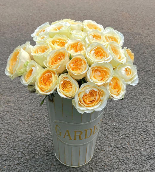 周末鲜花日~🌹【玫瑰花】云南鲜花基地直发，15种玫瑰可选~72小时内发货，一份10支，花枝长40-50CM 商品图10