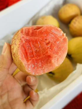 【红心芭乐】
树熟红宝石芭乐整颗都可以吃 红心的更软甜多汁，一定要试试这样吃！ 一定要加酸梅粉哇！ 太上头了 酸酸滴！ 第一次吃就开启新大陆！3.5斤/箱，送酸梅粉！