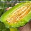【博洋蜜瓜】脆嫩香甜，不是那种齁嗓子的甜 是像小时候蹲在瓜棚边，刚摘下来的，薄如纸的皮，籽细得不用吐，糖分匀得刚刚好，从瓜皮到瓜芯，每一口都清甜，咬下去"咔嚓"一声，汁水顺着嘴角往下流 。 商品缩略图1