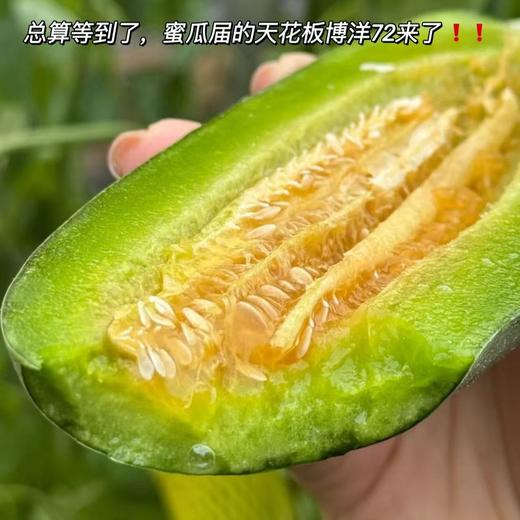 【博洋蜜瓜】脆嫩香甜，不是那种齁嗓子的甜 是像小时候蹲在瓜棚边，刚摘下来的，薄如纸的皮，籽细得不用吐，糖分匀得刚刚好，从瓜皮到瓜芯，每一口都清甜，咬下去"咔嚓"一声，汁水顺着嘴角往下流 。 商品图1