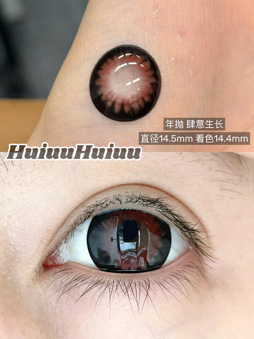 【大直径年抛】混血新品-Sheepcon-向阳而生/北极以北/肆意生长-14.5mm【年抛 0-1000度 含525/575】 商品图3