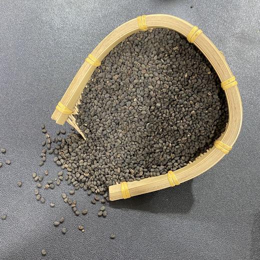 补骨脂  常用规格 破故纸 商品图4