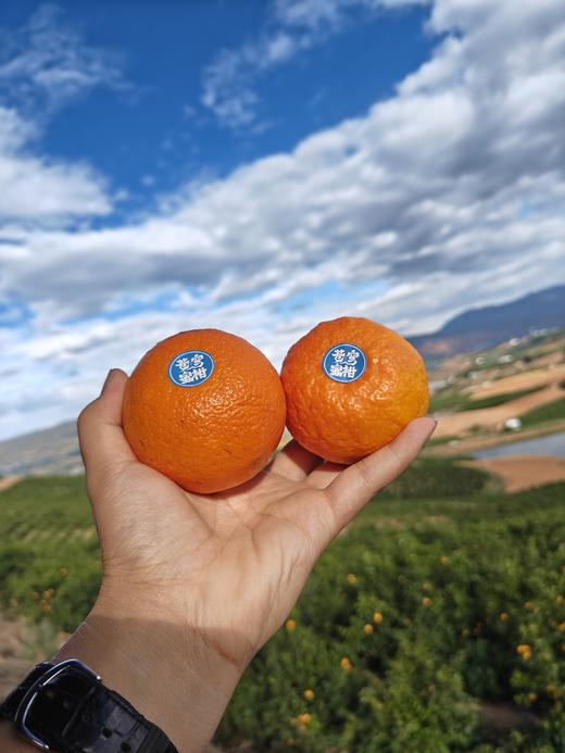 苍穹无核蜜柑，果味浓郁，水分超级足，爆汁，细腻无渣，几乎纯甜，无核 商品图12