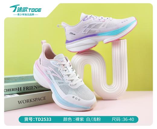 途歌TD 2533  单网跑鞋36-40带 商品图0