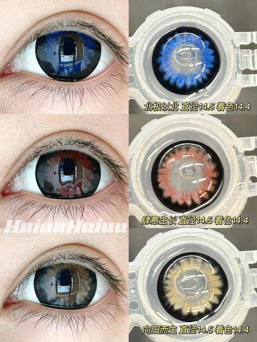 【大直径年抛】混血新品-Sheepcon-向阳而生/北极以北/肆意生长-14.5mm【年抛 0-1000度 含525/575】 商品图1