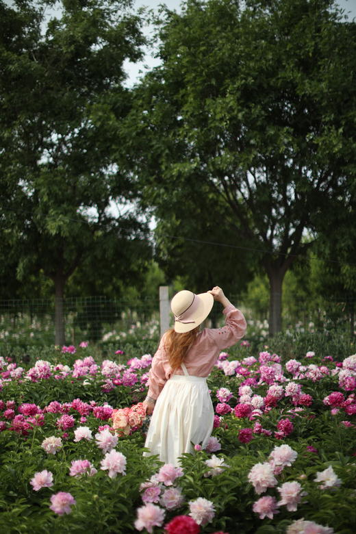 【预售！4.20起陆续发货】2026简小姐芍药季精选套餐【我扎根生长，也自然流淌 】 商品图1