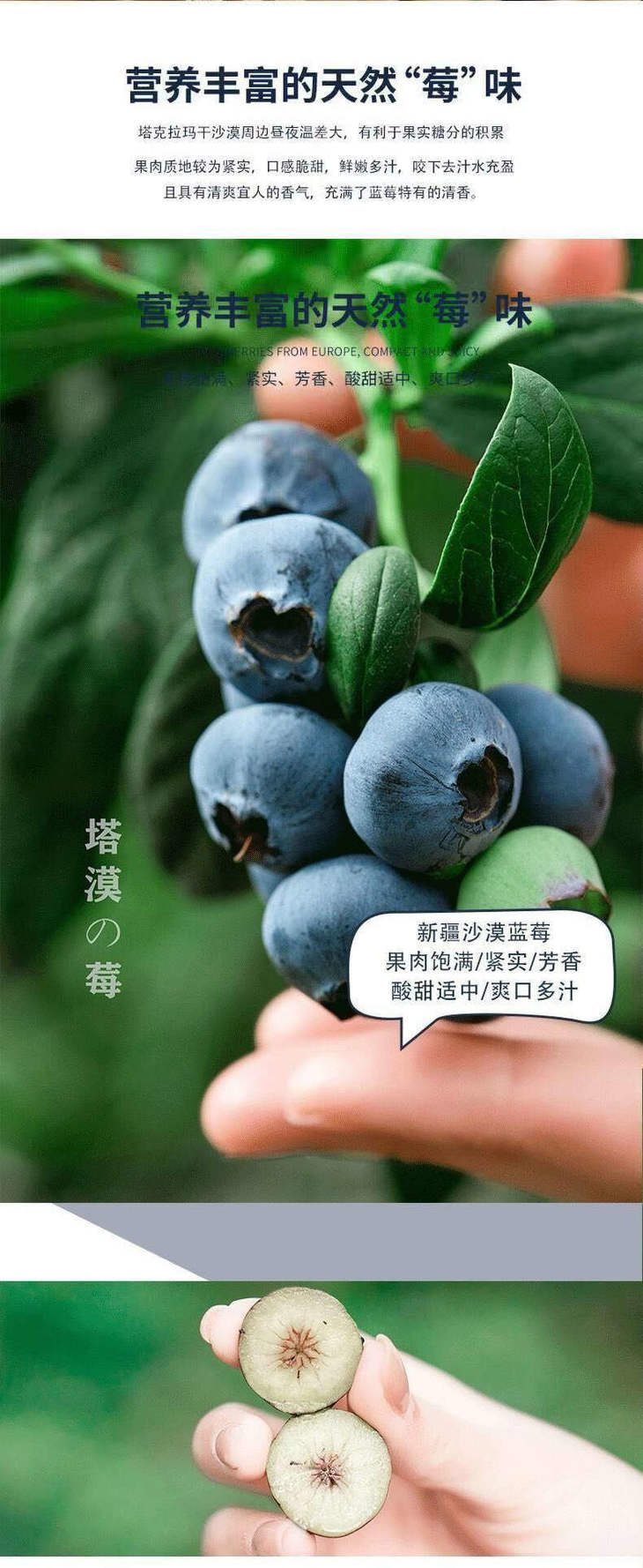 蓝莓详情页_04.jpg