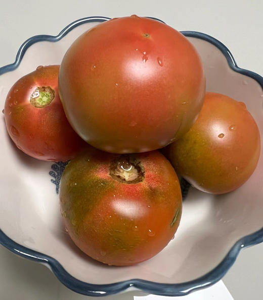 盘锦碱地西红柿 商品图3