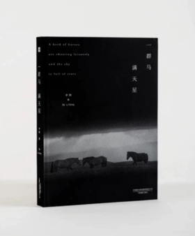李刚《一群马 满天星》 摄影画册 马文化 中国摄影出版社