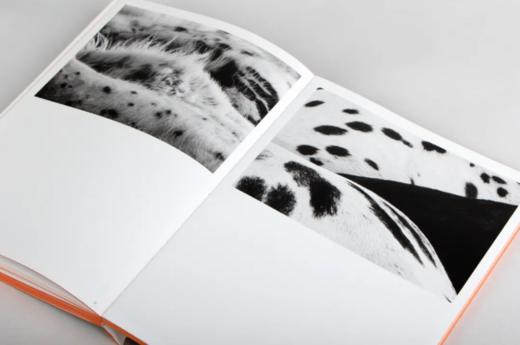 李刚《相与抽象》摄影画册  马文化 浙江摄影出版社 商品图4