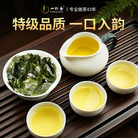 一杯香茶叶乌龙茶铁观音安溪特级清香型250g礼盒装送礼自己喝散装茗茶 /水饮冲调 /茗茶 /铁观音