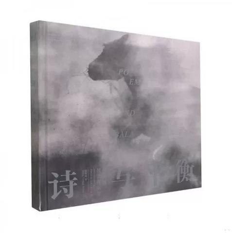 张耕畦《诗与平衡：张耕畦摄影作品集》 商品图0