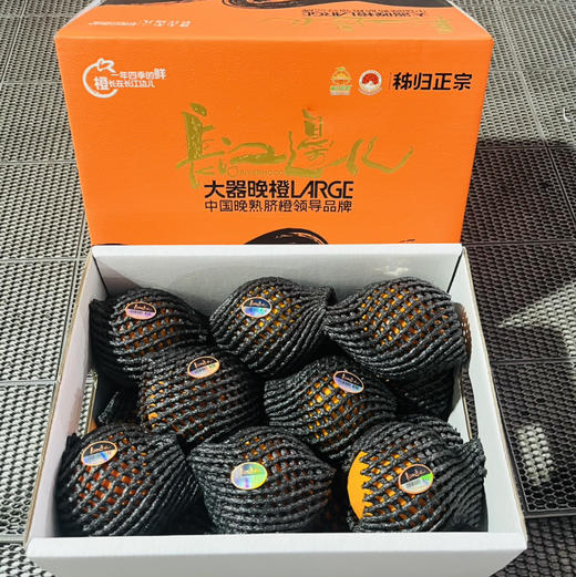 湖北 长江边血橙 1箱约8斤礼盒装 花青素 商品图4