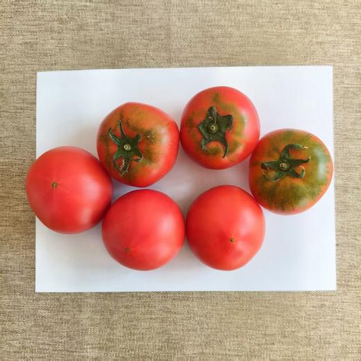 生态小红番茄 西红柿 口感佳 脆甜回甘 甜度高 汁水足 风味浓 生食比水果还好吃 商品图4