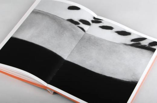 李刚《相与抽象》摄影画册  马文化 浙江摄影出版社 商品图3