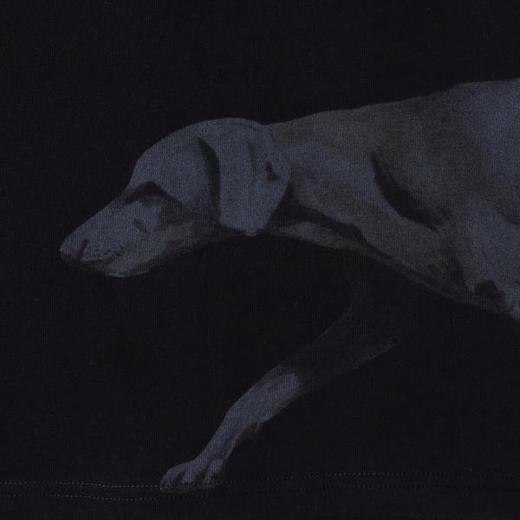 SDSA男装2026新款高贵轻奢小众设计动物印花圆领短袖T恤宽松百搭 商品图5